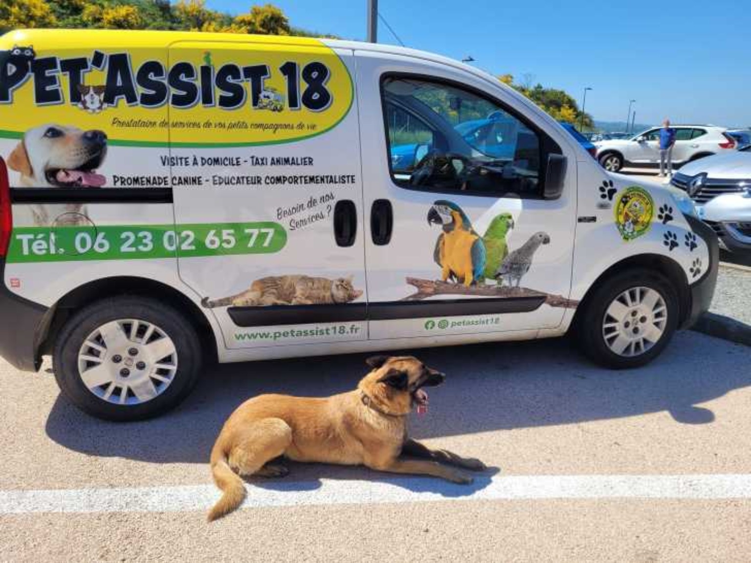 Taxi animalier Pet'Assist 18